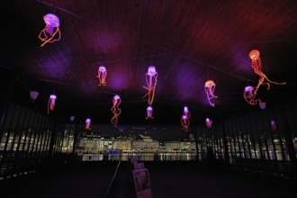 Coloured illuminated octopuses on the ceiling of the boat station, Lilu, Light Festival 2025,