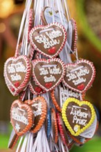 Gingerbread hearts with various love messages and colourful icing decorations, hung on white