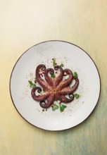 Boiled octopus, close-up, rustic style, no people, top view, close-up