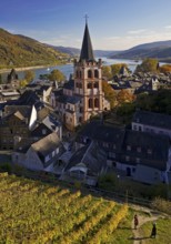 Autumn view of Bacharach on the Rhine with St. Peter's Church, UNESCO World Heritage Upper Middle