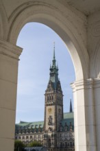 City Hall, State Government, North German Renaissance, Hamburg, Germany, Europe