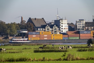 Skyline of Emmerich, on the Lower Rhine, pastures on the left bank of the Rhine, cows, container