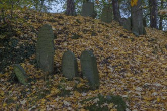 Moss covered tombstones on the old jewish cemetery in Chodova Plana, Czech Republic, from the 15th