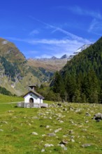 Chapel, Flittneralm. Flittner Alm, Innervals, Vals, Valser Tal, Valser Tal Natura 2000 nature