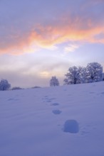 Tracks in the snow, sunrise with hoarfrost in winter, at the Schlossberg, Eurasburg, Loisachtal,