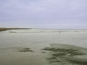 Low tide, mudflats, Dollart, Nieuwe Statenzijl, Netherlands