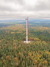 A tall wind power tower rises out of an autumn-coloured forest into the wide landscape, wind farm