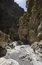 Hiking trail through the Samaria Gorge, south coast, Crete, Greece, Europe