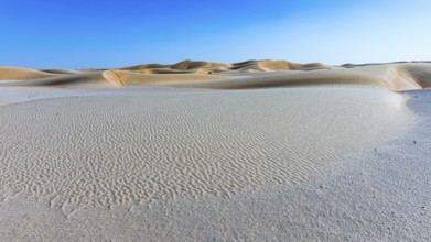 Wind-sculpted curved sand dunes in the Rub al Khali desert, Dhofar province, Arabian Peninsula,