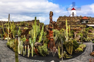 2016, Guatiza, Lanzarote, Jardin de Cactus by Cesar Manrique, ESP, Spain, Canary Islands, Canary