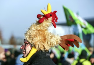 Thousands of demonstrators at the Wir haben es satt! demonstration, thousands of demonstrators