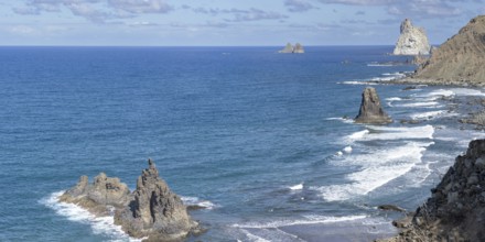 Atlantic coast, Tagana Valley, Barranco de la Iglesia, Anaga Mountains, Las Montanas de Anaga,