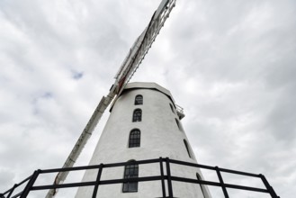 Restored, commercially operated windmill, tower windmill, Blennerville, Tralee, County Kerry, Wild