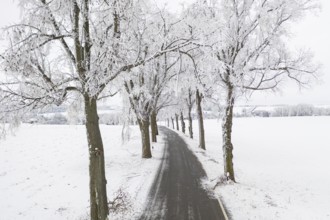 Aerial view of a country road with trees in the snow, Oederan, Saxony, Germany, Europe