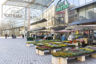 Market stalls with flowers in front of the modern glass façade of the Kaufhof Gallery on the market