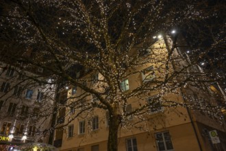 Tree decorated with lights at Christmas time, Sebalder Platz, Nuremberg, Middle Franconia, Bavaria,