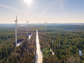 Wind turbines stretch across a forest to the horizon, Seewald, Black Forest, Germany, Europe