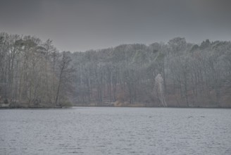 Grey weather, trees, wintry Schlachtensee, Steglitz-Zehlendorf, Berlin, Germany, Europe