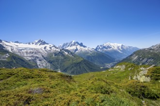 Mountain panorama with glaciated mountain peaks, Aiguille Verte with Aiguille du Midi and Mont