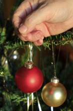 Decorating the Christmas tree, December, Germany, Europe