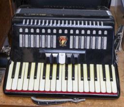 Close up of Parrot brand accordion musical instrument made in China