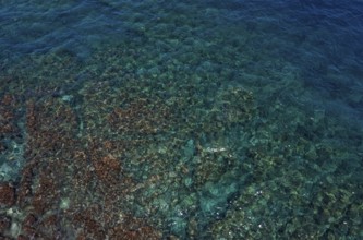 Drone shot, rocky coast with surf at Afrata, West Crete, Crete, Greece, Europe