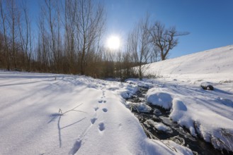 Bochum, North Rhine-Westphalia, Germany - Sunny winter landscape in the Ruhr area, ice and snow on