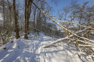 Dorsten, North Rhine-Westphalia, Germany - Sunny winter landscape in the Ruhr area, ice and snow on