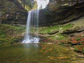 Aabachtobel waterfall, Horgen, Canton of Zurich, Switzerland, Europe