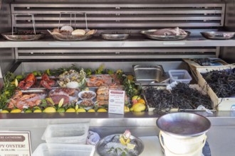 A market stall presents a variety of fresh seafood and oysters, Paris