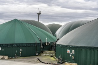 Biogas plant, the gas is produced from various biomass, including waste from the food industry, the