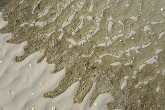 Wet sand surface with wavy patterns and small pebbles, Plage Saint Efflamm, Plestin-les-Grèves,