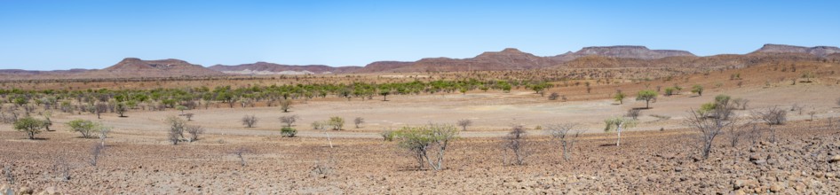 African savannah, dry desert landscape with table mountains, Damaraland, Kunene, Namibia, Africa