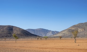 Dry landscape with red hills and mountains, Kaokoveld, Kunene, Namibia, Africa