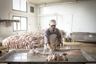 Production of salted ducks factory Nan Jing Ying Tao Yo Co. Ltd., for consumption in restaurants