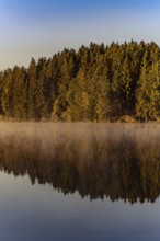 Autumnal morning atmosphere at Schmutter Weiher with fog near Lechbruck, Halblech and Roßhaupten in