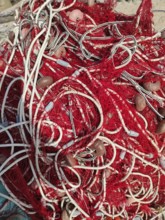 Fishing nets with ropes and floats, harbour, Santa Maria di Leuca, Apulia, Southern Italy, Italy,