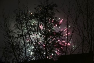 New Year's Eve fireworks, Germany, Europe