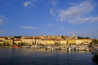 Harbour, Mali Losinj, Island of Losinj, Kvarner Gulf Bay, Croatia, Europe