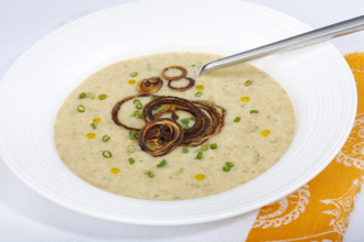 Swabian cuisine, green spelt soup, healthy, vegetarian, regional, soup served in soup plates,