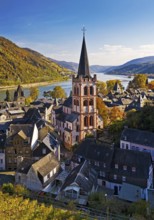 Autumn view of Bacharach on the Rhine with St. Peter's Church, UNESCO World Heritage Upper Middle