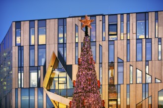 Christmas tree in front of the modern façade of the Koe-Bogen by architect Daniel Libeskind,