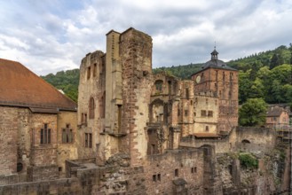 Ruins of the castle in Heidelberg, Baden-Württemberg, Germany, Europe