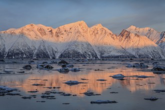 Morning light, mountains, snowy, reflection, sea, coast, fjord, winter, Lyngen Alps, Norway, Europe