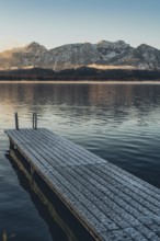 Frosty morning atmosphere during sunrise at Lake Hopfensee in the Allgäu in Bavaria, Germany,