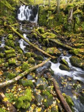 Teufelsmühle waterfall on the hill stream the Schwartzbach, surrounded by autumn colour, in the