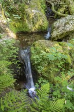 The Edelfrauengrab waterfalls near Ottenhöfen in the Black Forest, Black Forest, Baden-Württemberg,