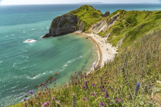 Man O'War Beach, UNESCO Jurassic Coast World Heritage Site, England, Great Britain