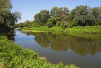 Calm river surrounded by green vegetation and trees reflected in the water, bow River, border with