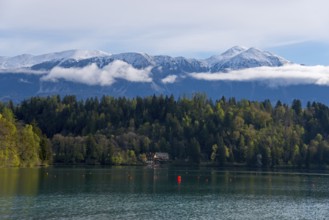 Lake with wooded shores in the foreground, snow-covered mountains in the background, Lake Bled,